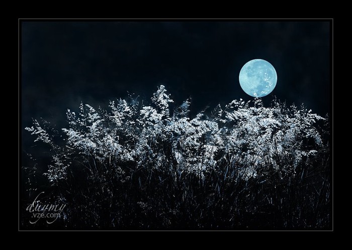 Gió đưa bông cỏ mong manh Ánh trăng tưới đẫm màu xanh ảo huyền Bao giờ mình trọn tơ duyên Bao giờ em nhớ thề nguyền năm xưa ...